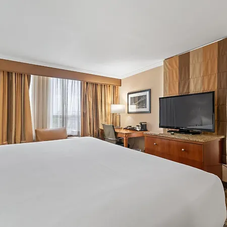 Hotel Executive Suites-2