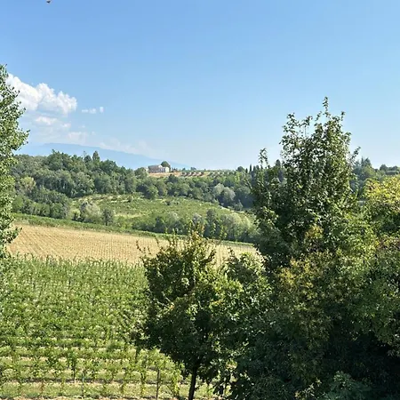 Ca'Vittoria - Prosecco Experience - Unesco-2