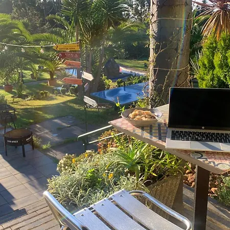Homeoffice Madeira - Coliving & Coworking With A Nice Community-3