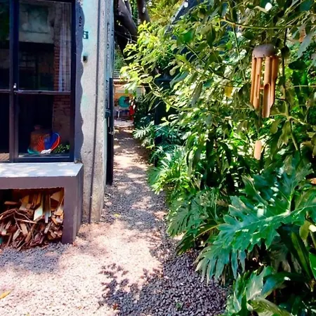 Casa Rivera-2