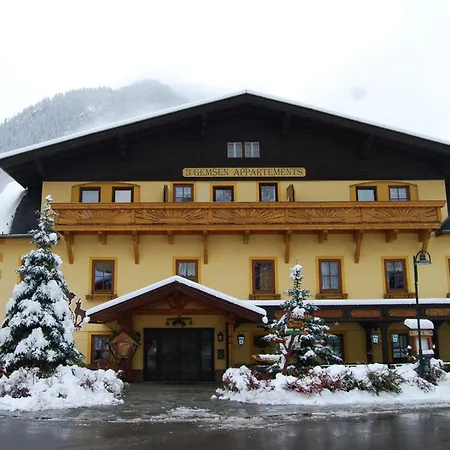 Hotel 3 Gemsen-3