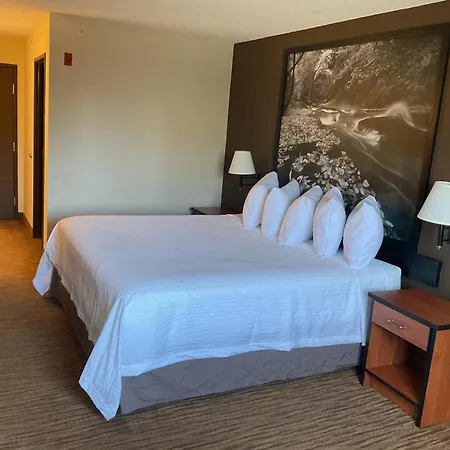 Super 8 By Wyndham Colorado Springs Airport-3