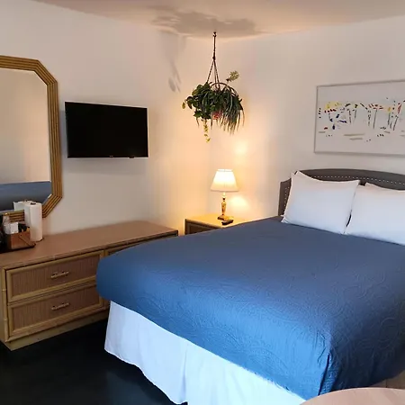 The Cozy Inn-3