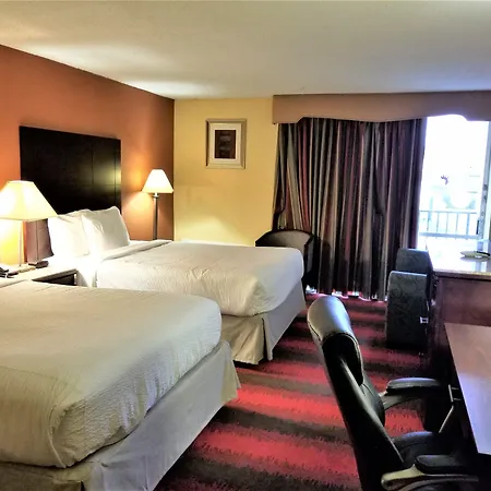 Spark By Hilton Clifton-3