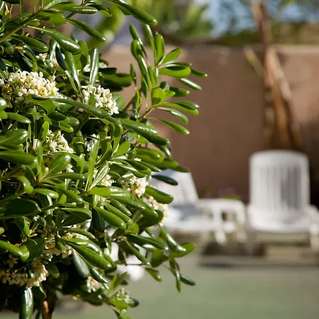 Hotel Vibra Marco Polo II - Adults Only-2