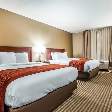 Comfort Inn & Suites Carneys Point - Pennsville-2