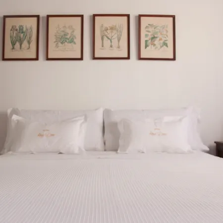 Hotel Rosa De Oro-3