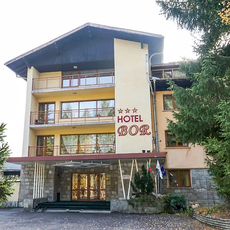 Hotel Bor-3