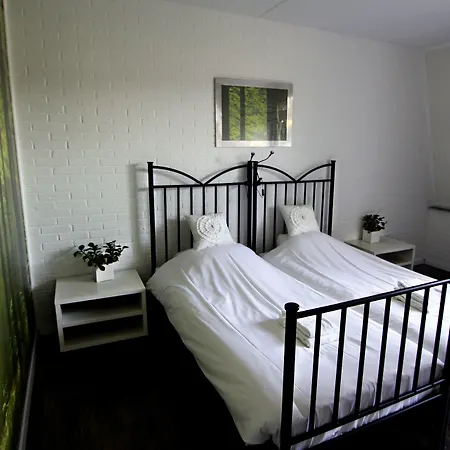 Hotel Buxus-3