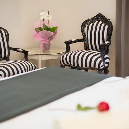 Ara Suite-2