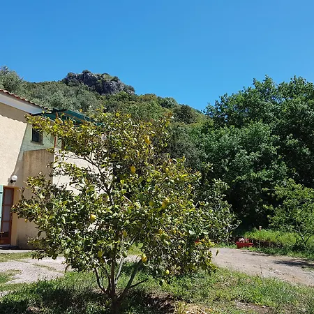 A Casa Di L'Alivu-3