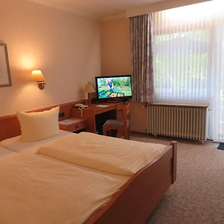 Hotel zum Rosenteich-3