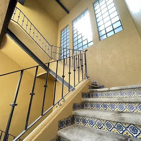 Colmena Centro-3