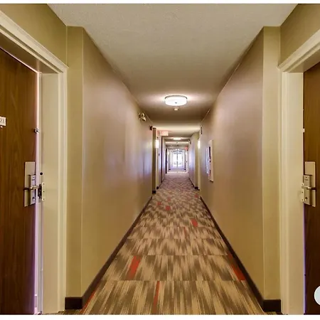 Spark By Hilton Oshawa-3