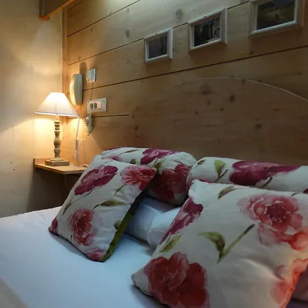 Logis Hotel Le Glacier-3