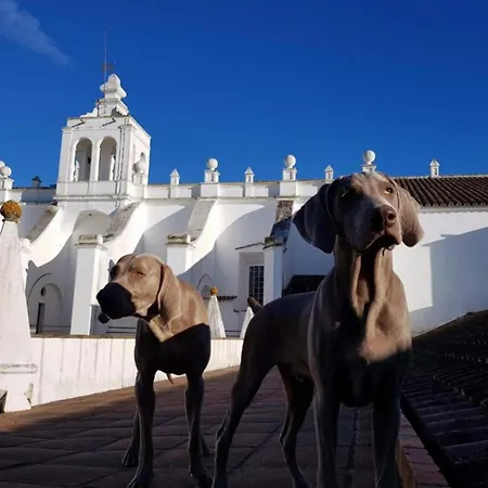 Convento Do Espinheiro, Historic Hotel & Spa-3