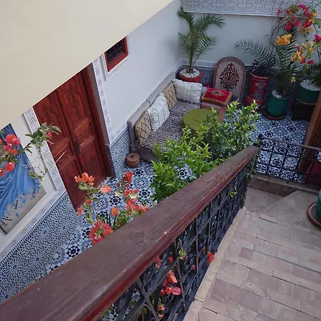 Riad Zahri-2