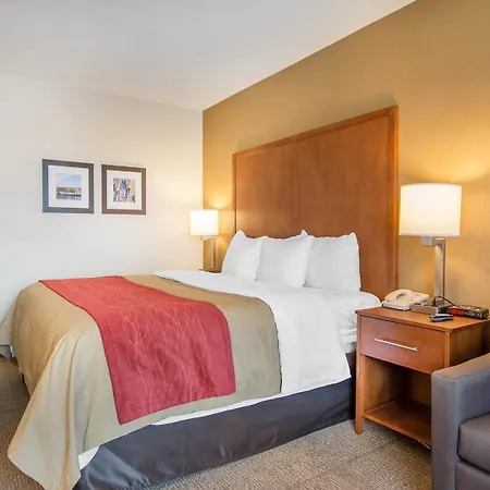 Comfort Inn-3