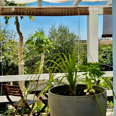 Ocean House Alentejo-3