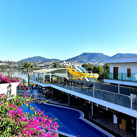 Tropicana Beach-3