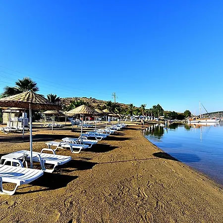 Tropicana Beach-2