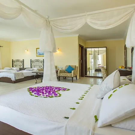 Hotel Cachet - Adult Only +14-3