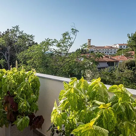 La Villa 31 - Rosignano Marittimo --3