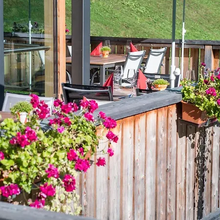 Hotel Steinbock Vals-3