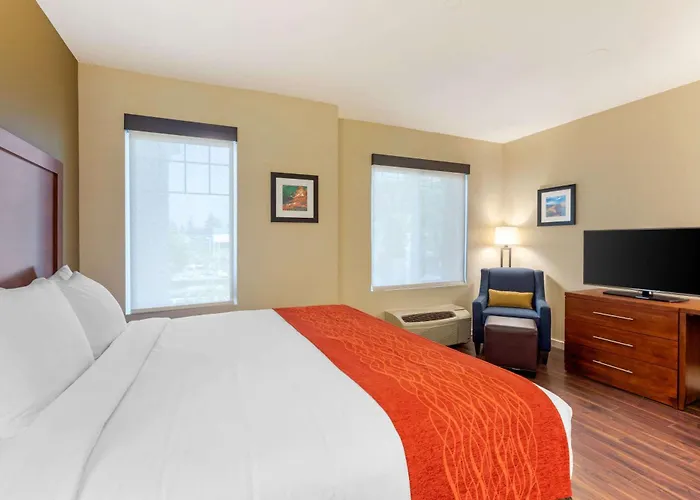 Comfort Inn & Suites Near Ontario Airport