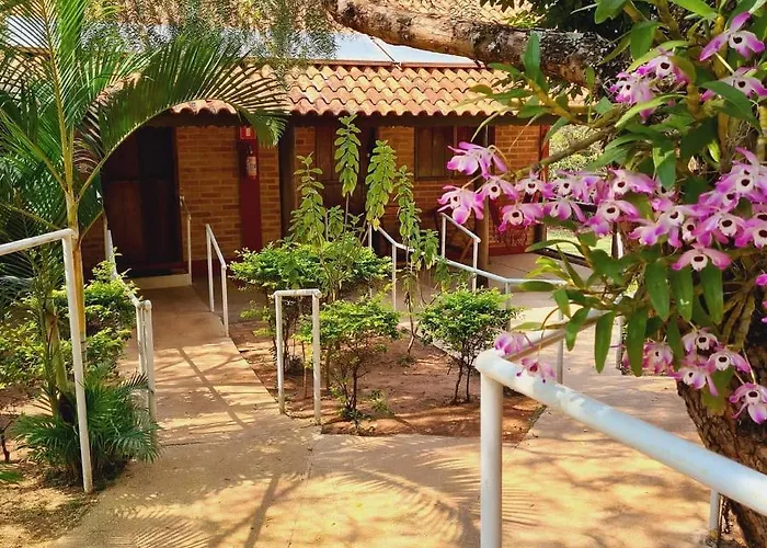 Quintal Das Estrelas