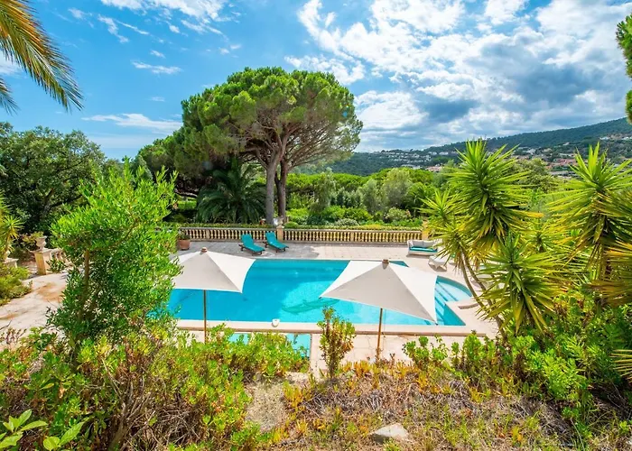Paradis Provençal