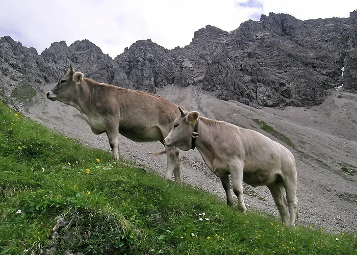 Naturhotel Lärchenhof Mittelberg