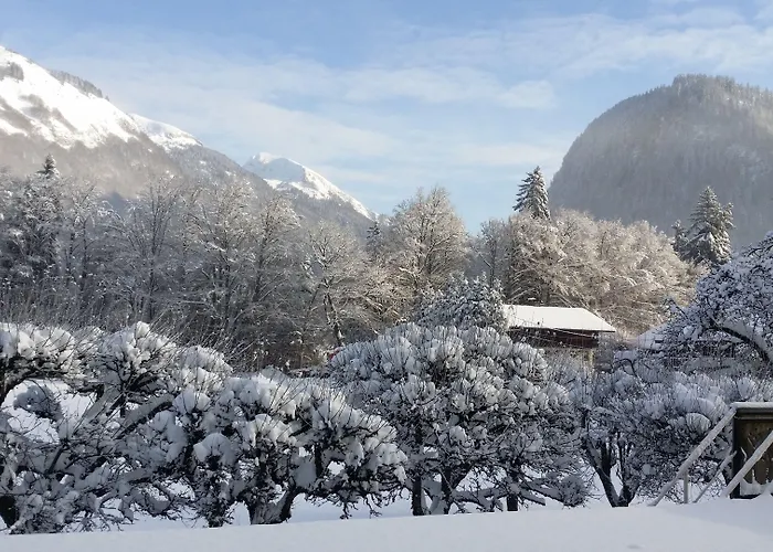 Hotel Les Fleurs Montriond