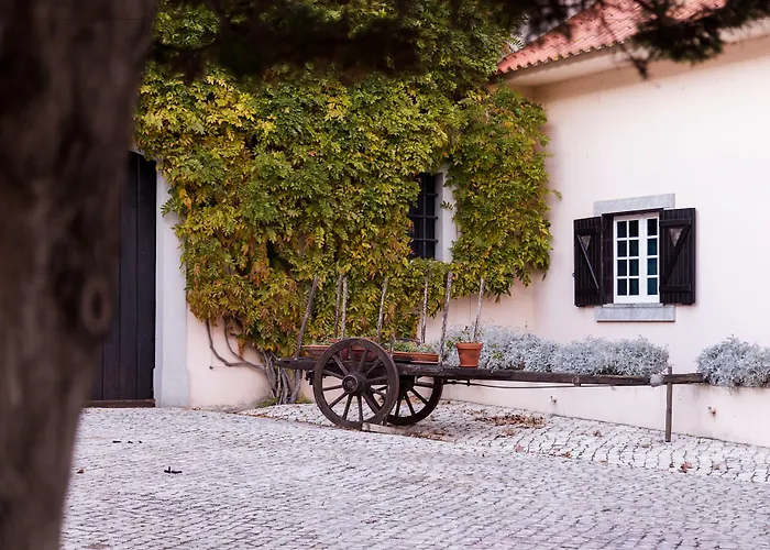 Quinta Do Covanco Alenquer