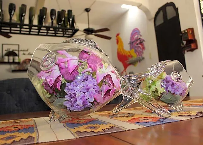 Casa Akbal B&B (Adults Only)