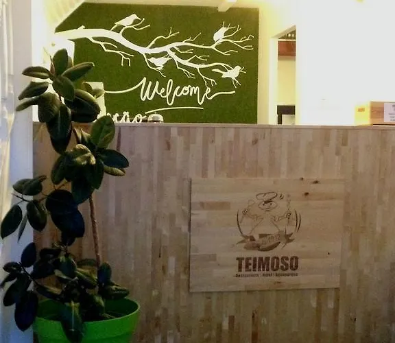 Hotel Teimoso