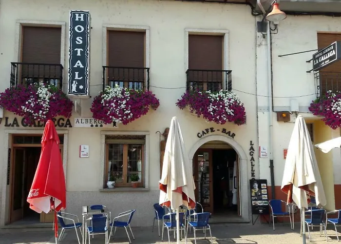 La Gallega Cacabelos 